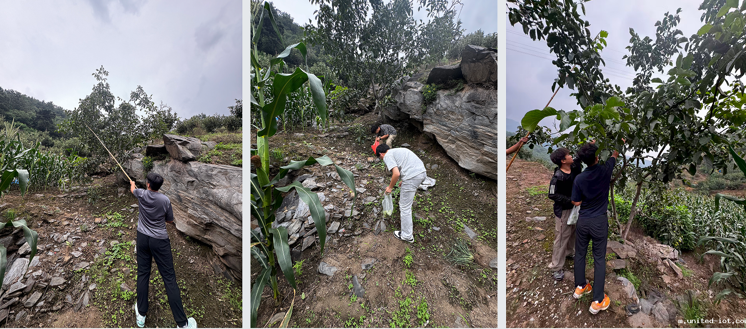 1755218146472043882.png 1755218146472043882.png