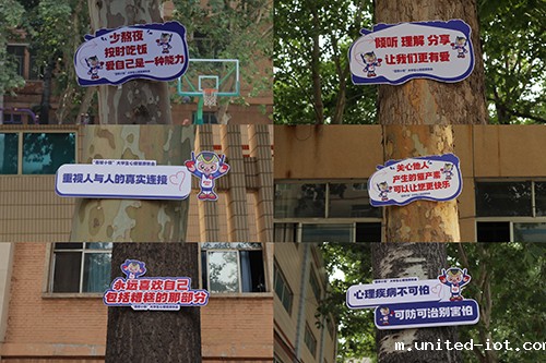 1719997861372019696.jpg P4.jpg